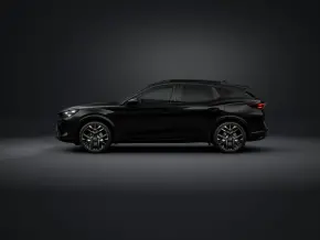 Formentor Tribe Edition 2.0 TSI 4DRIVE thumbnail