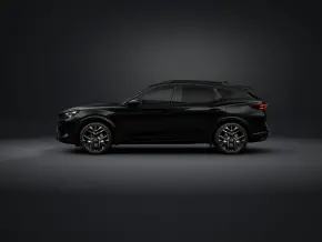Formentor Tribe Edition 2.0 TSI 4DRIVE thumbnail