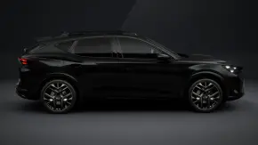 Formentor Tribe Edition 2.0 TSI 4DRIVE thumbnail