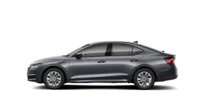 Octavia Selection 2.0 TDI DSG thumbnail