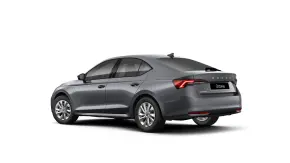 Octavia Selection 2.0 TDI DSG thumbnail