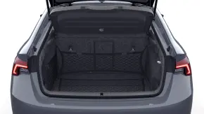 Octavia Selection 2.0 TDI DSG thumbnail