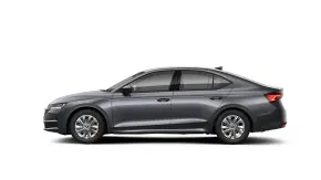 Octavia Selection 2.0 TDI DSG thumbnail