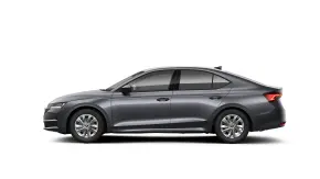 Octavia Selection 1.5 TSI DSG mHEV thumbnail