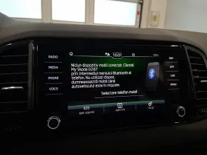 Škoda Karoq Selection 1.5 TSI DSG thumbnail