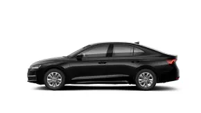 Octavia Selection 2.0 TDI DSG thumbnail