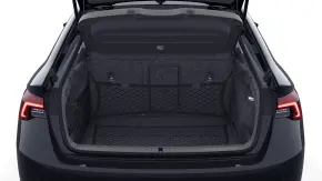 Octavia Selection 2.0 TDI DSG thumbnail