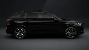 Formentor Tribe Edition1.5 eTSI DSG7mhev thumbnail