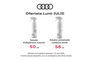 Soluție îndepărtare insecte Audi thumbnail
