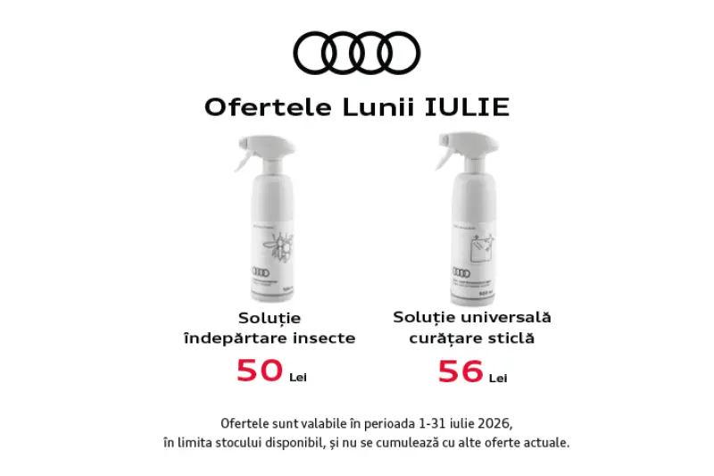 Soluție îndepărtare insecte Audi