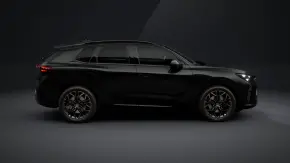 CUPRA Terramar 2.0 TSI DSG 4DRIVE thumbnail