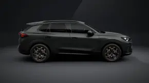CUPRA Terramar 2.0 TSI DSG 4DRIVE thumbnail