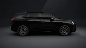 CUPRA Terramar 2.0 TSI DSG 4DRIVE thumbnail