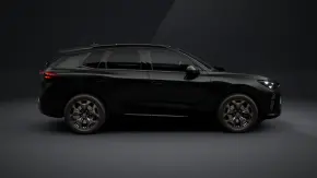 CUPRA Terramar 2.0 TSI DSG 4DRIVE thumbnail
