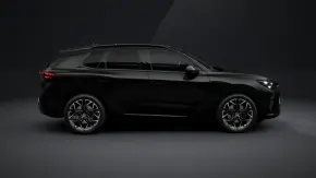 CUPRA Terramar 2.0 TSI DSG 4DRIVE thumbnail