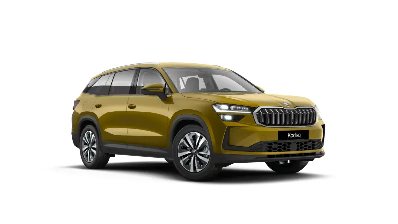 Kodiaq Selection 2.0 TSI DSG 4x4