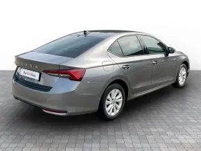 Škoda Octavia Selection 2.0 TDI DSG Fleet thumbnail